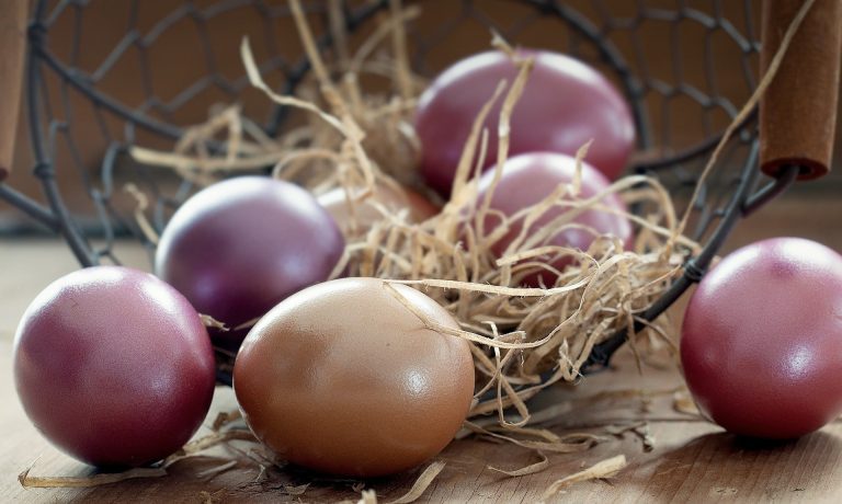 Gesunde & frohe Ostern!